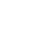 digital inspections 01.png